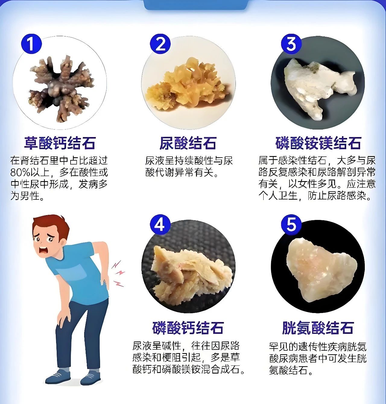 微信图片_20250423095859.jpg